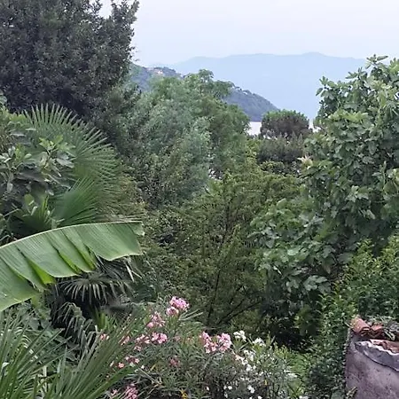 Raineri 도마소