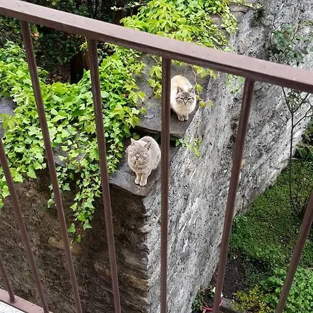 Raineri Apartamento Domaso