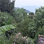 Raineri Domaso