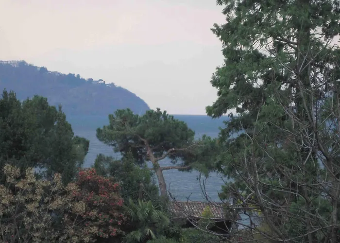 Raineri アパート *
